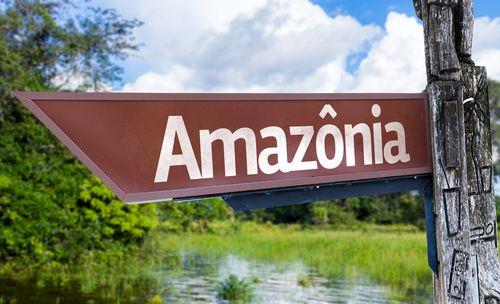 Amazon's New Trend: How Sellers Can Gain an Edge as Shopping Assistant Rufus Starts Selling Ads?